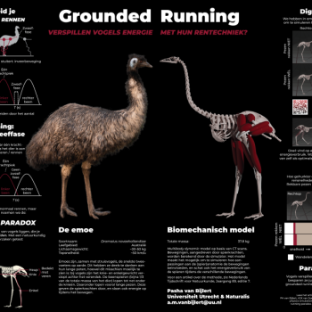 NTVN_verbeelding_Pasha_van_Bijlert-01 kleiner